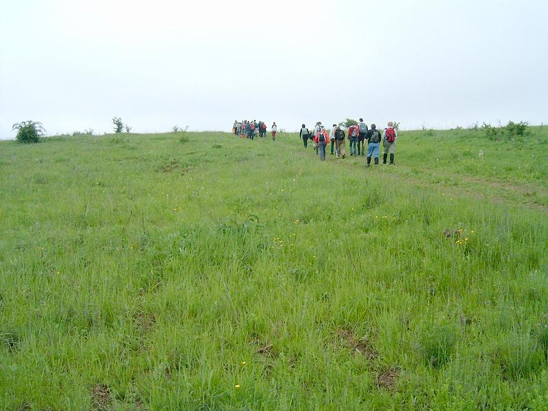 2010.05.08 (006).jpg